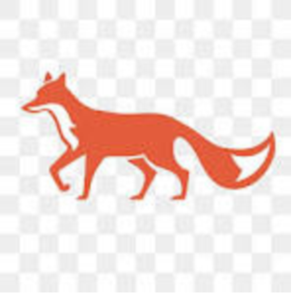 Race Logo