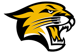 Race Logo